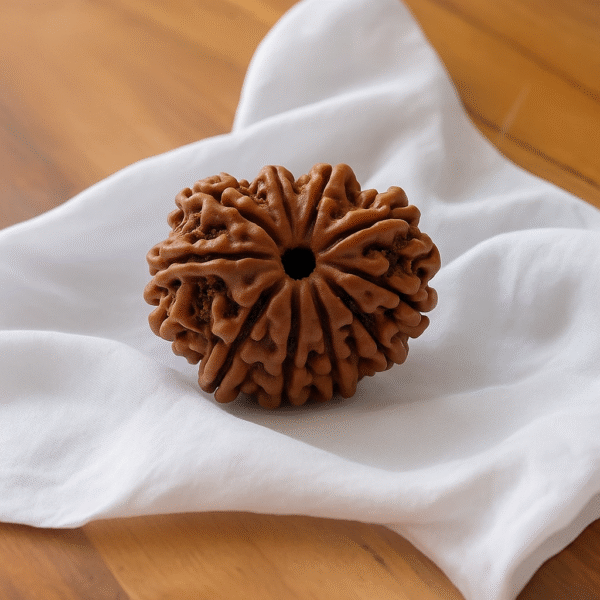 10 Mukhi Rudraksha