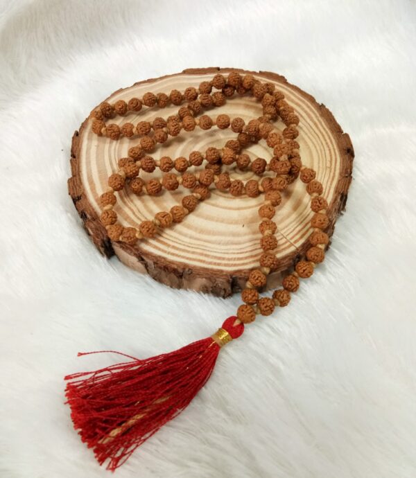 Pachmukhi Rudraksha Mala