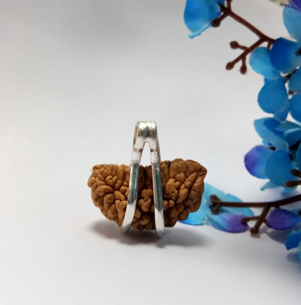 Ekmukhi Rudraksha