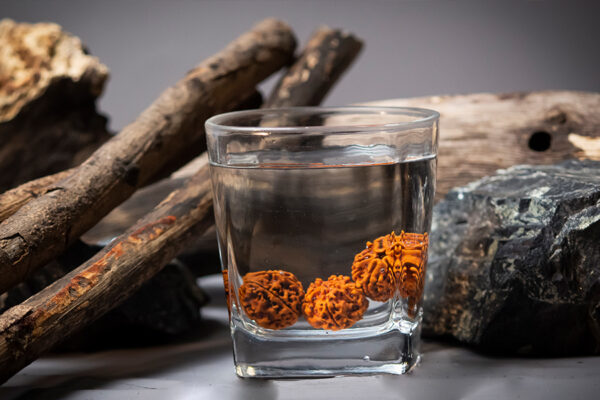 Water Therapy Rudraksh